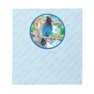 Bloc-note Steller's Jay - Photographie originale