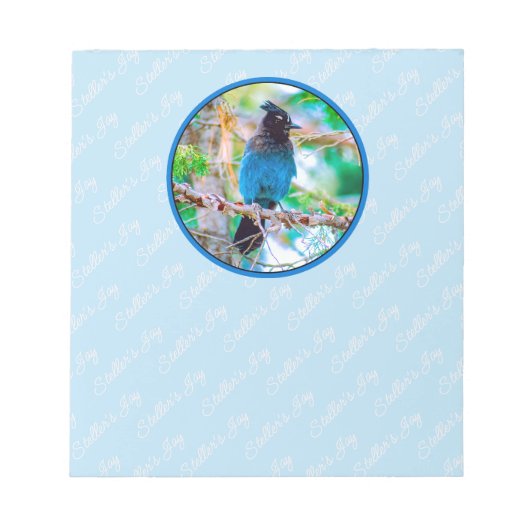 Bloc-note Steller's Jay - Photographie originale (Devant)