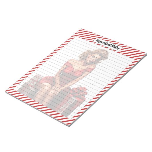 Bloc-note Sucre de canne Noël (Incliné)