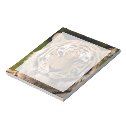 Bloc-note Sumatran Tiger Portrait (Tourné)