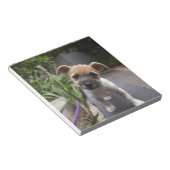 Bloc-note Super mignonne chiot Terrier à la frontière (Incliné)