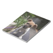 Bloc-note Super mignonne chiot Terrier à la frontière (Tourné)