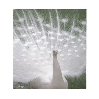 Bloc-note Superbe blanc Peacock ( Paon) plein plume