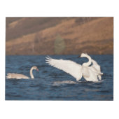 Bloc-note Swan (Devant)