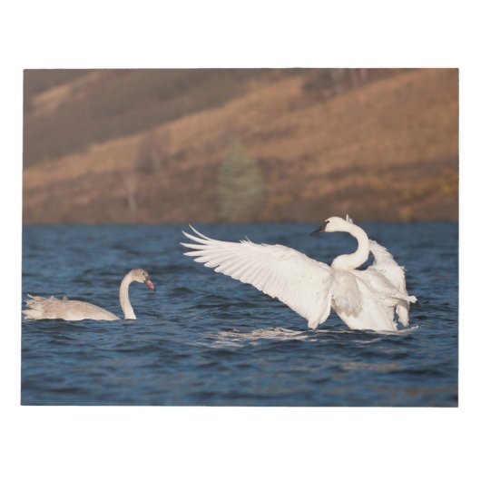 Bloc-note Swan (Devant)