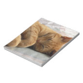 Bloc-note Sweet Dreams (Tourné)