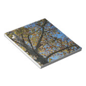 Bloc-note Sycamore en automne contre un ciel bleu (Incliné)