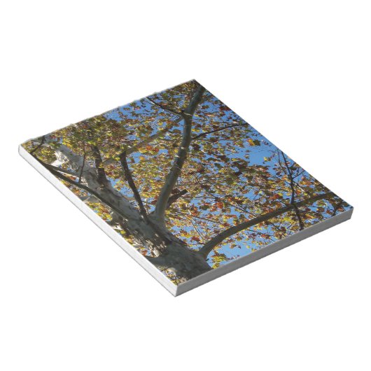 Bloc-note Sycamore en automne contre un ciel bleu (Incliné)