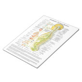 Bloc-note Système nerveux autonome Tear Off Pad (Incliné)