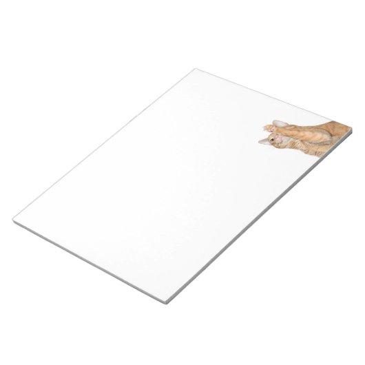 Bloc-note Tabby orange en jeu (Incliné)