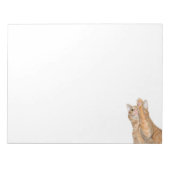 Bloc-note Tabby orange en jeu (Devant)