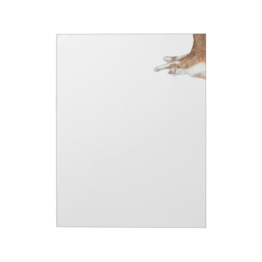 Bloc-note Tabby orange et blanc (Tourné)