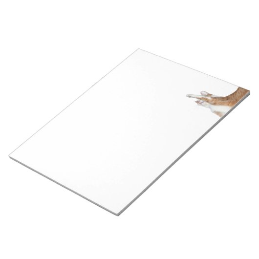 Bloc-note Tabby orange et blanc (Incliné)