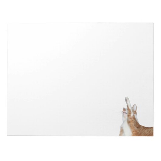 Bloc-note Tabby orange et blanc (Devant)