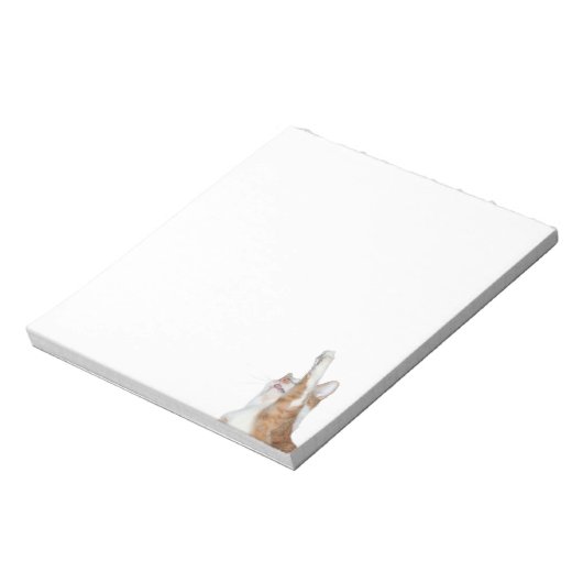 Bloc-note Tabby orange et blanc (Tourné)