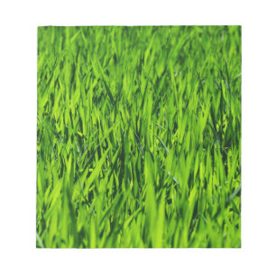 Bloc-note Tall Blades of Grass