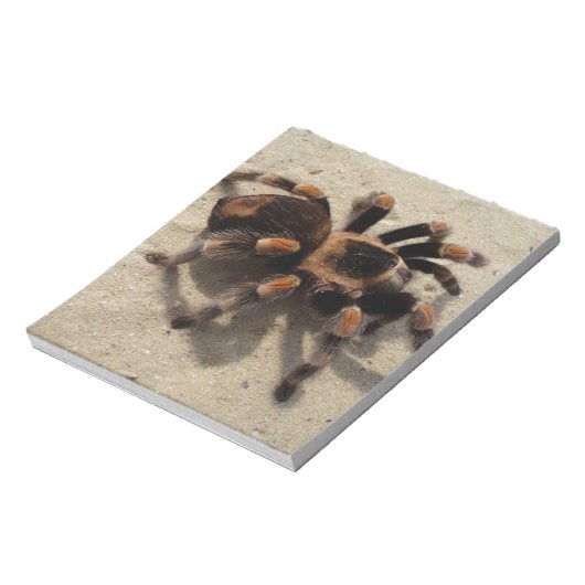 Bloc-note Tarantula brachypelma rouge genou toxique (Tourné)