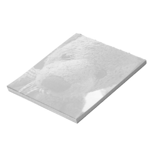 Bloc-note Teddy Bear (Tourné)