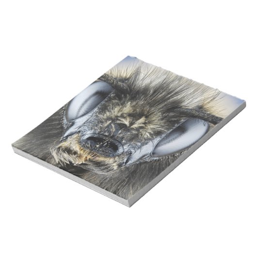 Bloc-note Tête de bourdon (Tourné)