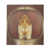 Bloc-note Tête et yeux composés d'une mouche (Devant)