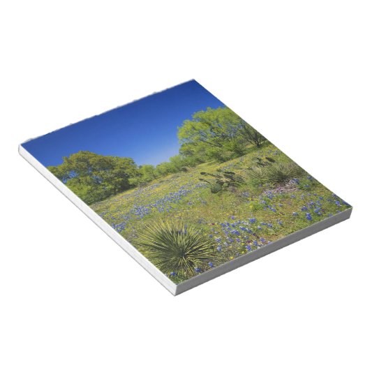 Bloc-note Texas Hill Country, Low bladderpod, (Incliné)