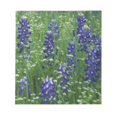 Bloc-note Texas, Lac Buchanan. Texas Bluebonnet et Wild (Devant)