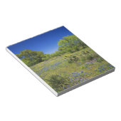 Bloc-note Texas, Texas Hill Country, Low vescie, (Incliné)