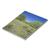 Bloc-note Texas, Texas Hill Country, Low vescie, (Tourné)