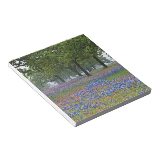 Bloc-note Texas, Texas Hill Country, Texas Paintbrush (Incliné)