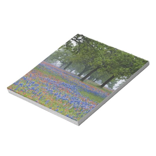 Bloc-note Texas, Texas Hill Country, Texas Paintbrush (Tourné)