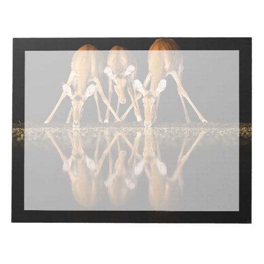 Bloc-note Three Impala Drink Together at Night (Devant)