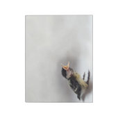 Bloc-note Tidi my Bird le Parus Major (Tourné)