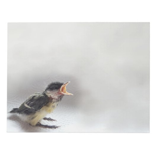 Bloc-note Tidi my Bird le Parus Major (Devant)