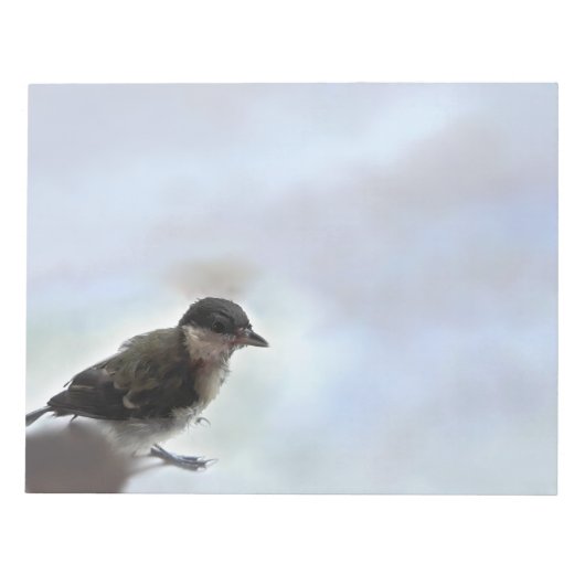 Bloc-note Tidi my Bird le Parus Major (Devant)