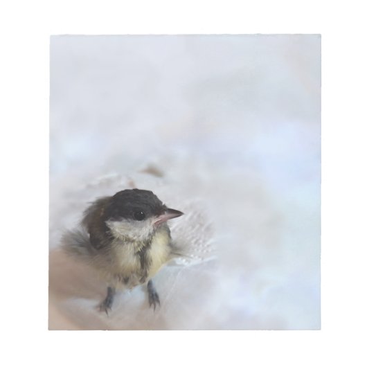 Bloc-note Tidi my Bird le Parus Major (Devant)
