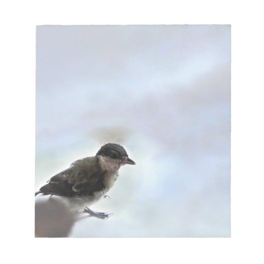 Bloc-note Tidi my Bird le Parus Major (Devant)