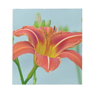 Bloc-note Tiger Daylily