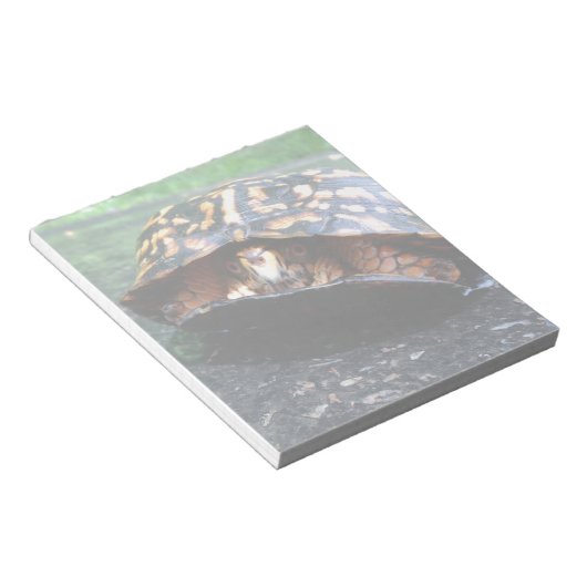 Bloc-note Tortue (Incliné)