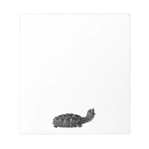 Bloc-note Tortue de Mata Mata