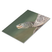 Bloc-note Tortue sur La Chute (Incliné)