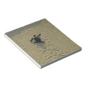 Bloc-note Tortue verte, (Chelonia mydas), nouveau-né (Incliné)