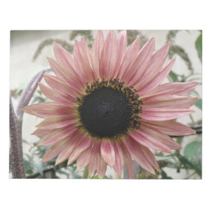 Bloc-note Tournesol rose pâle