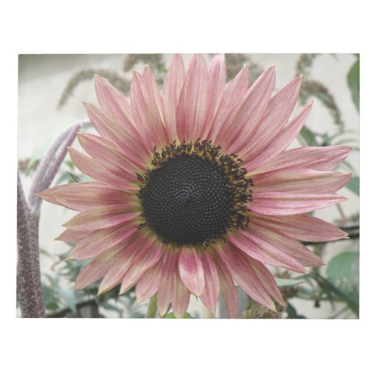 Bloc-note Tournesol rose pâle (Devant)