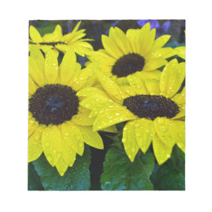 BLOC-NOTE TOURNESOLS MAGNIFIQUES DE JARDIN