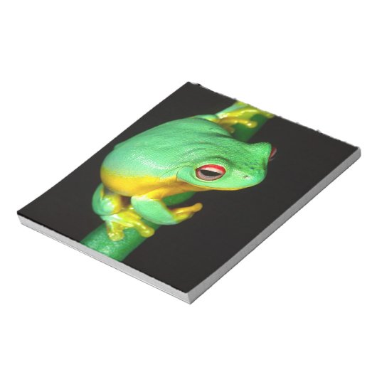 Bloc-note Treefrog de l'oeil rouge australien, Litoria chlor (Tourné)