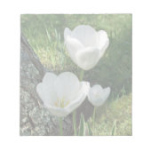 Bloc-note Trio de fleurs de tulipes blanches (Devant)