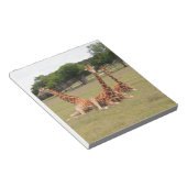 Bloc-note Trois girafe à Fossil Rim (Incliné)