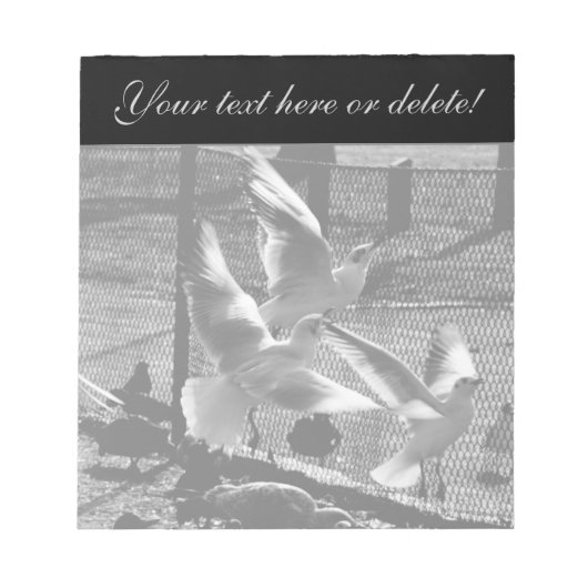 Bloc-note Trois oiseaux (Devant)