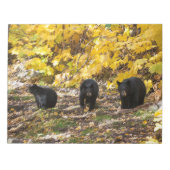 Bloc-note Trois ours (Devant)