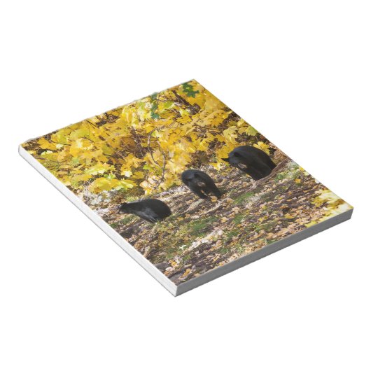 Bloc-note Trois ours (Incliné)